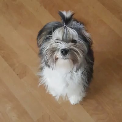 parksy